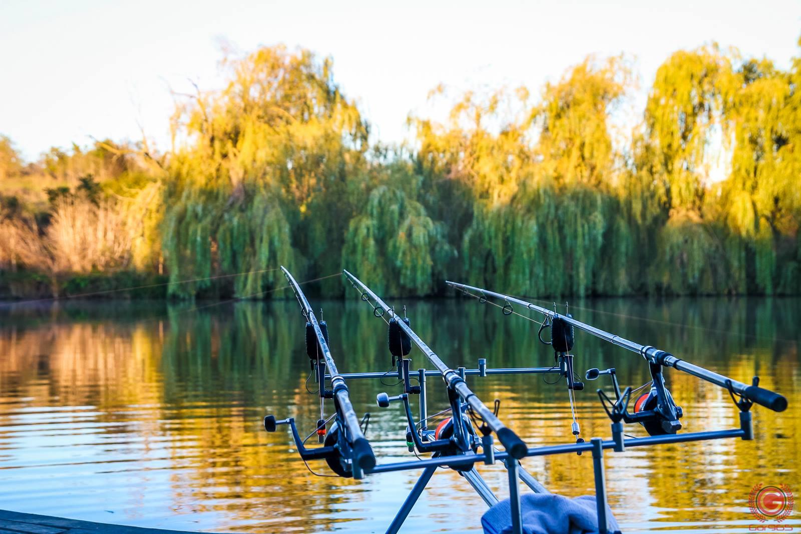 Care sunt cele mai bune balti in 2017? Vezi preferintele pescarilor.